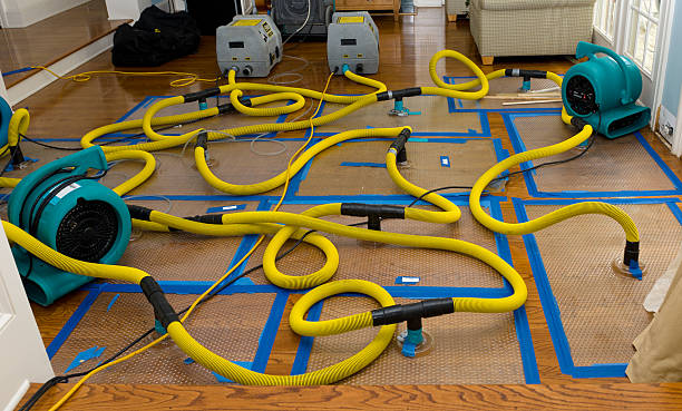 Professional Structural Drying And Dehumidification technician working in Murrayville, GA